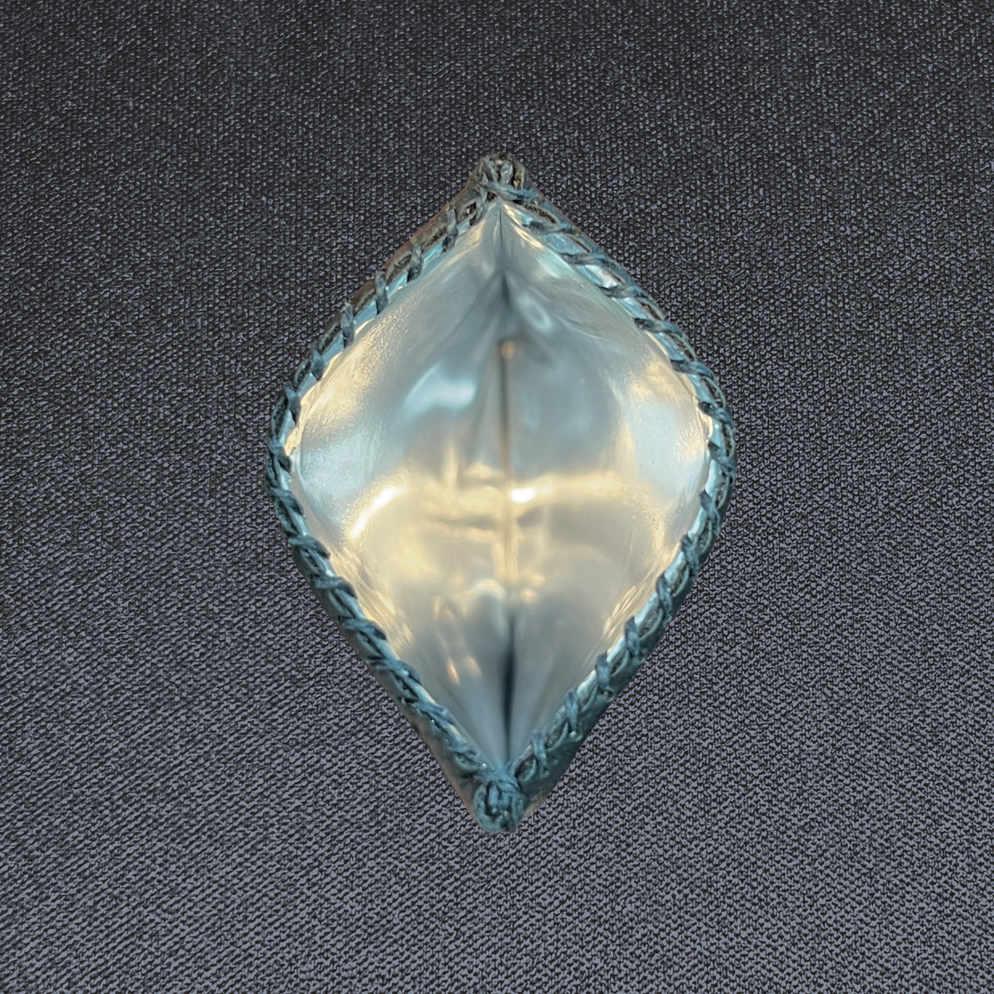 Wildcard — Chocolate Cactus, Medium