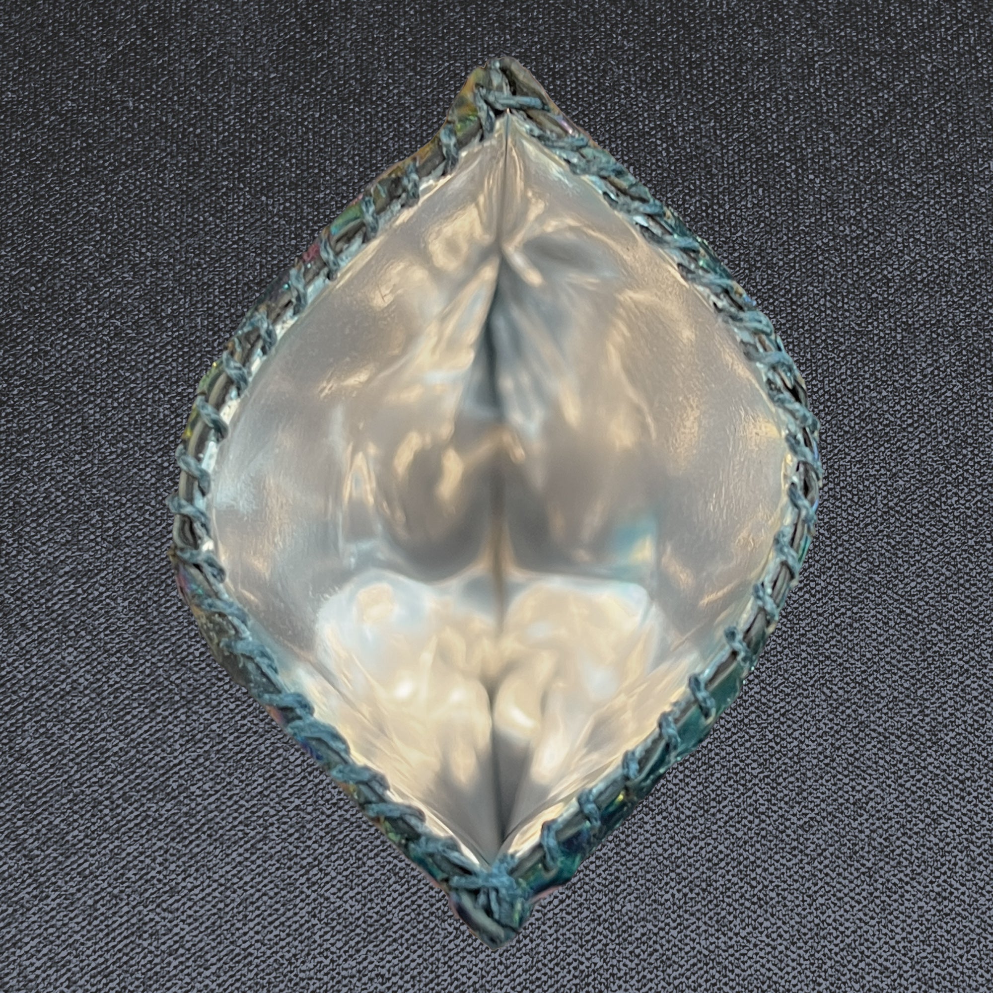 Wildcard — Chromatic Python, Large