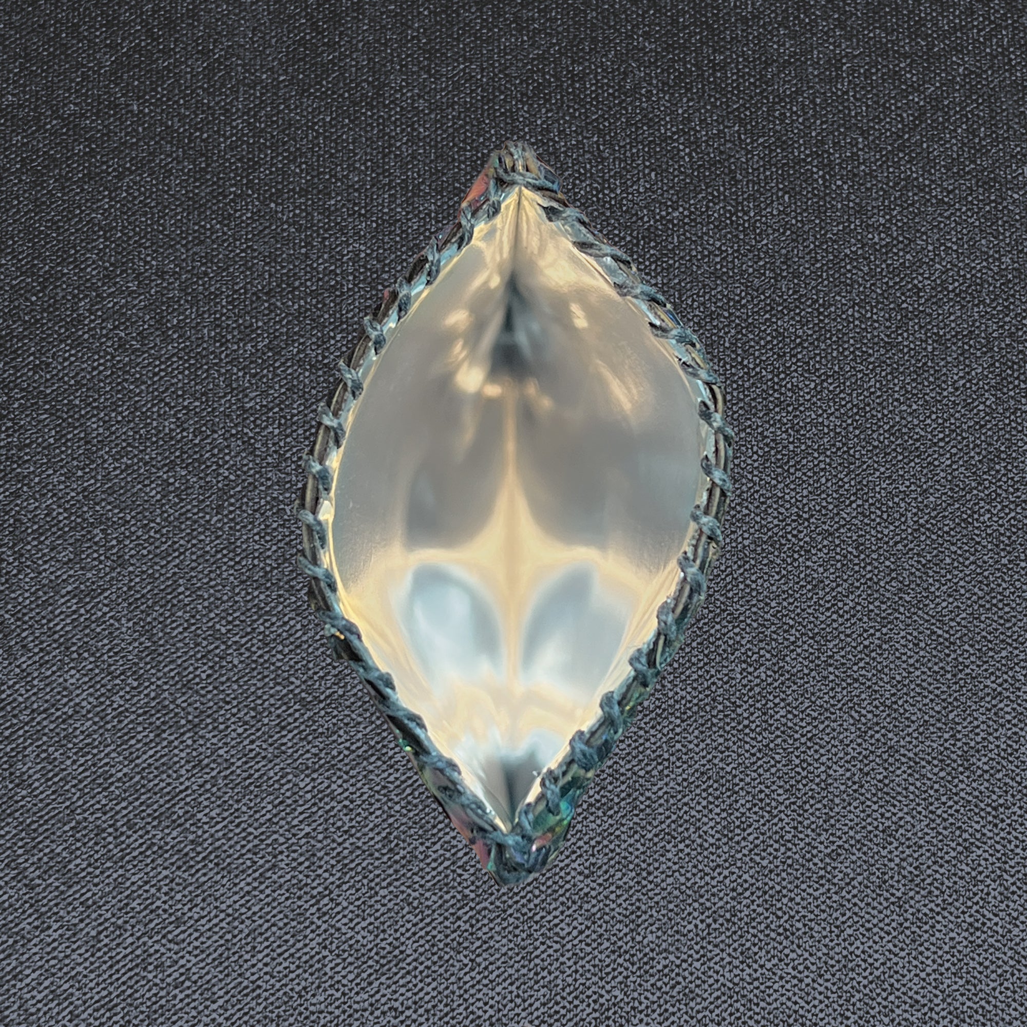 Wildcard — Chromatic Python, Medium