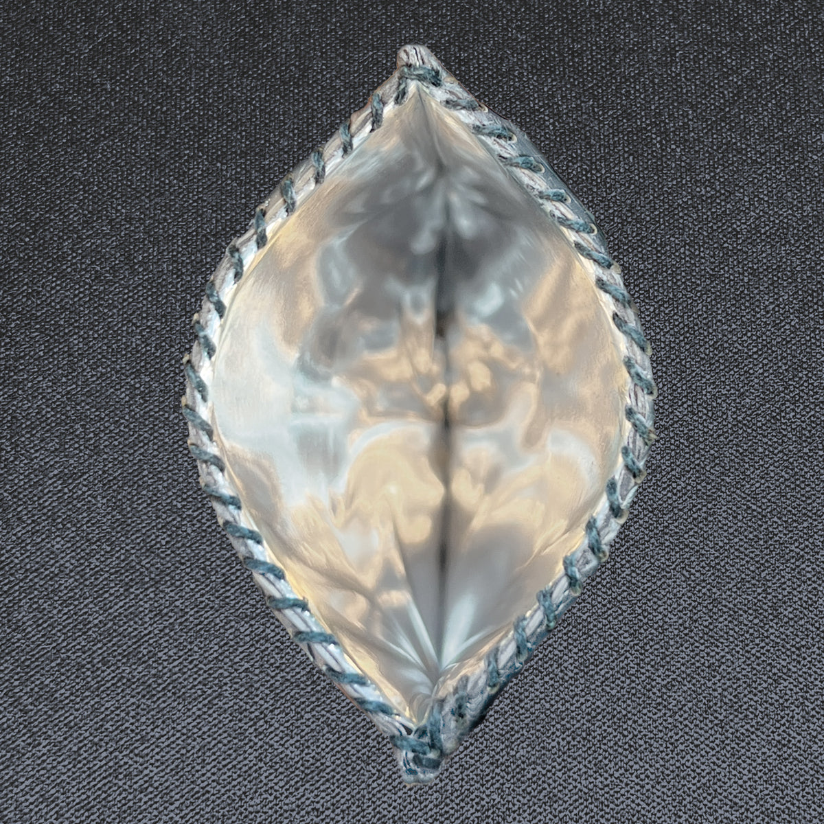 Wildcard, shown open with its mylar lining