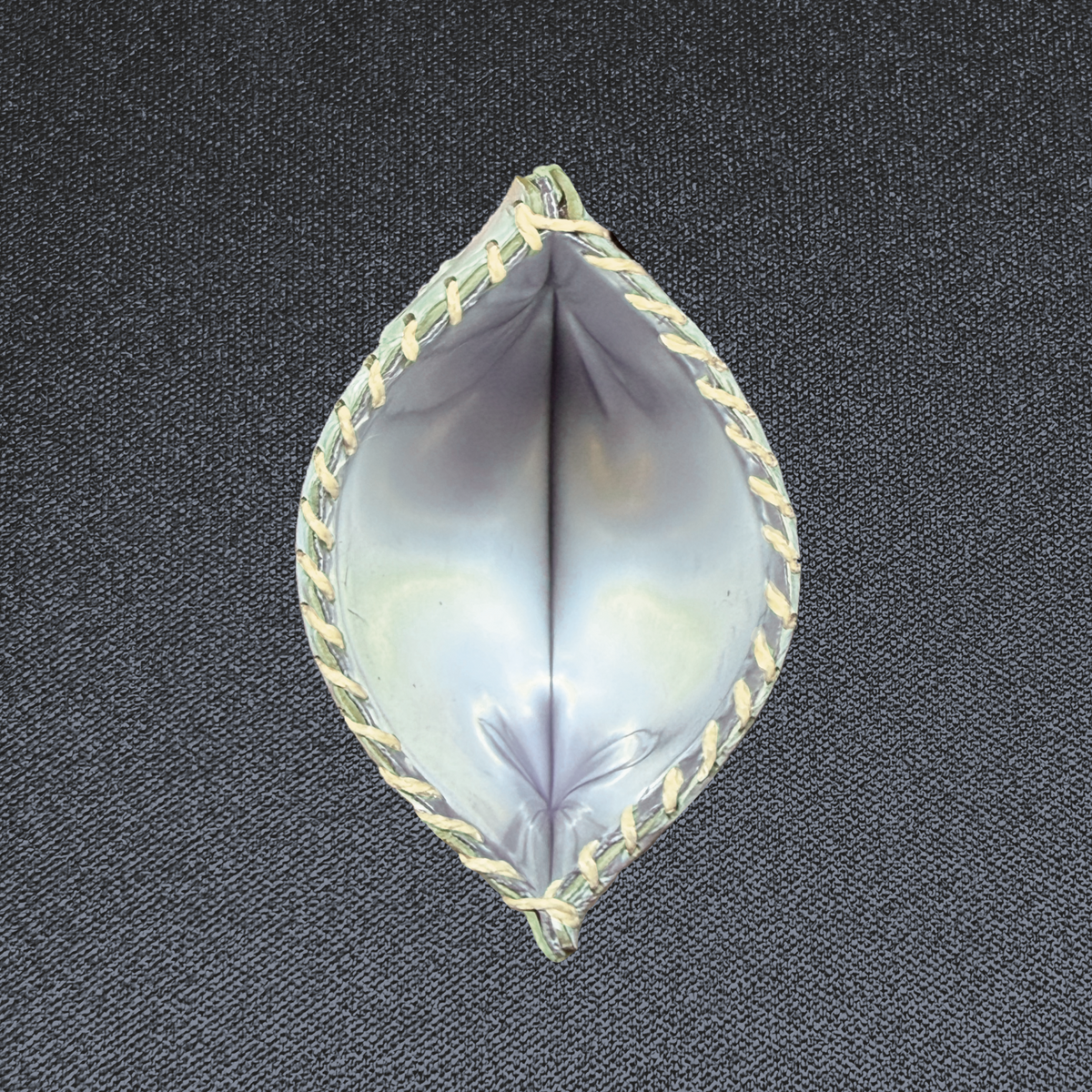 Wildcard Pearl Python, Medium, shown open with its mylar lining