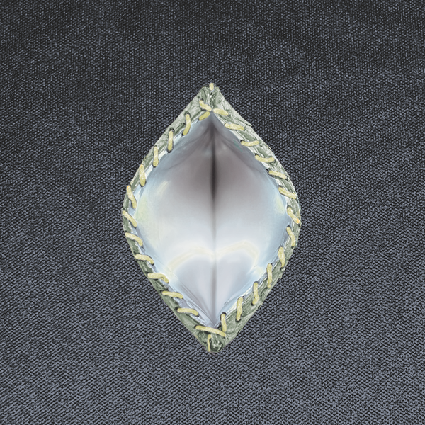 Wildcard — Pearl Python, Small