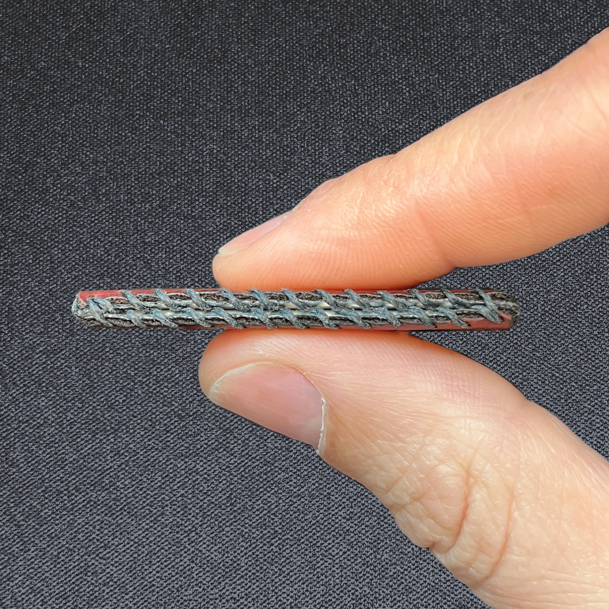 Wildcard — Burgundy Cactus, Small